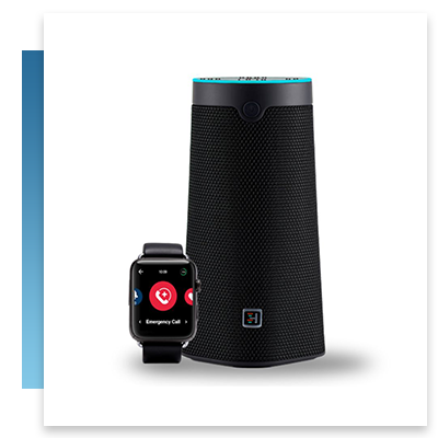Smart Voice Assistant and smartwatch